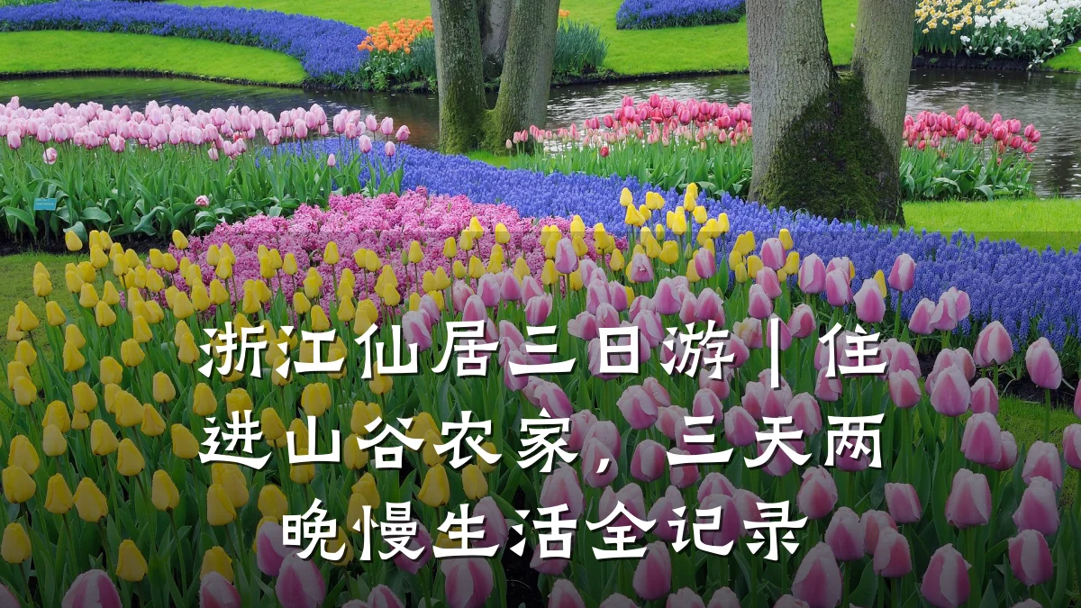 浙江仙居三日游|住进山谷农家,三天两晚慢生活全记录
