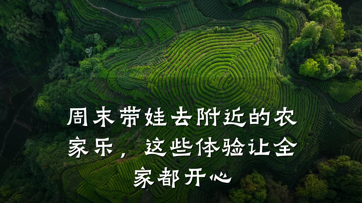 周末带娃去附近的农家乐,这些体验让全家都开心