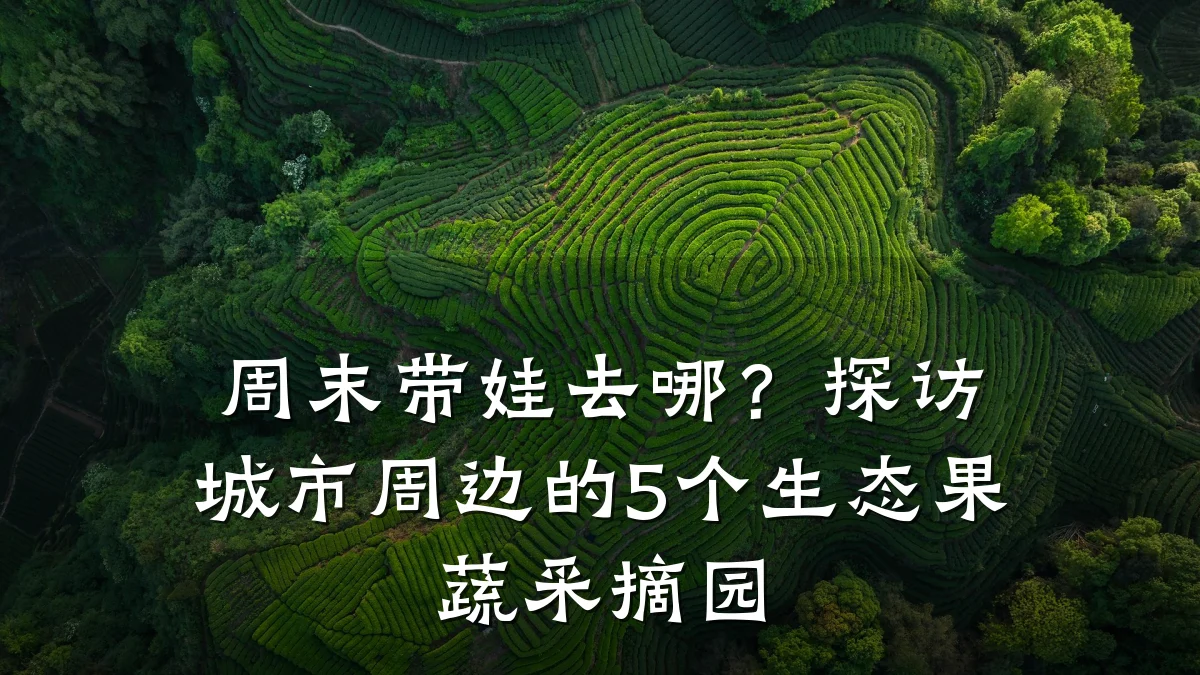 周末带娃去哪?探访城市周边的5个生态果蔬采摘园