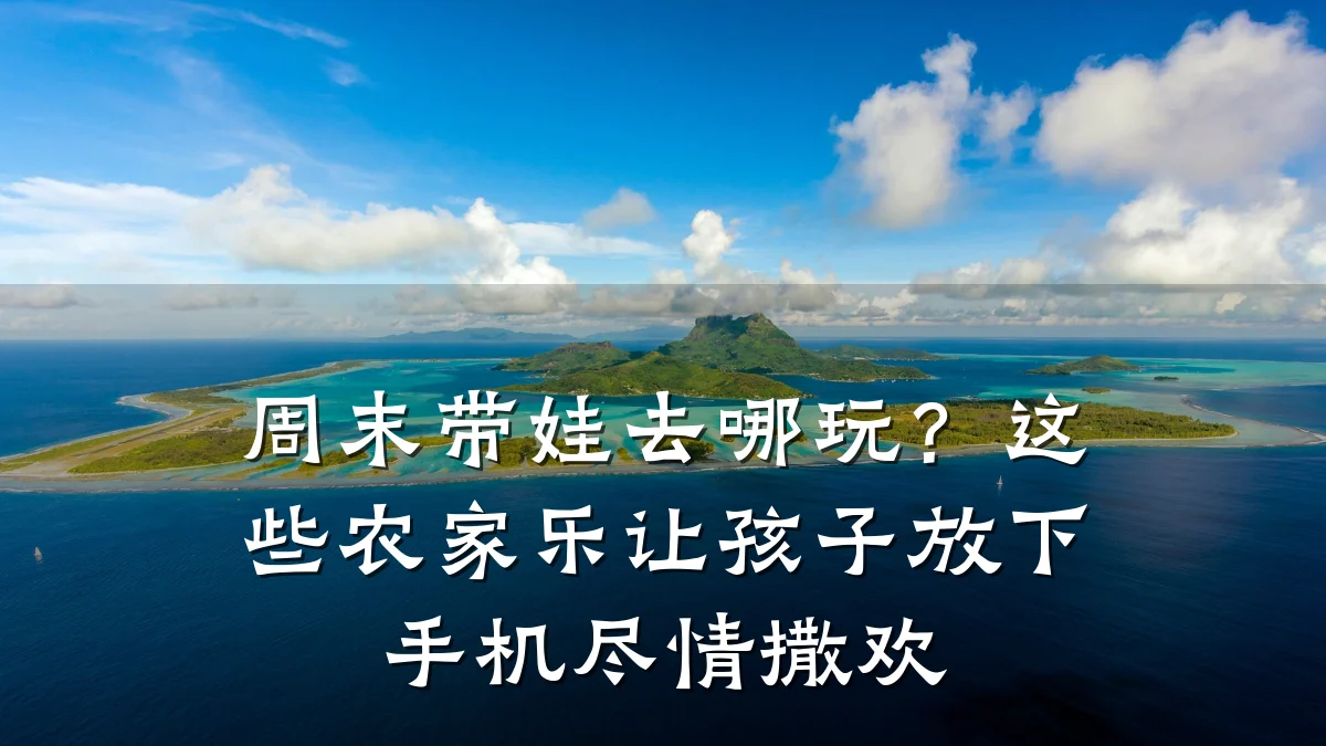 周末带娃去哪玩?这些农家乐让孩子放下手机尽情撒欢