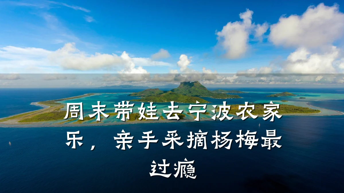 周末带娃去宁波农家乐,亲手采摘杨梅最过瘾