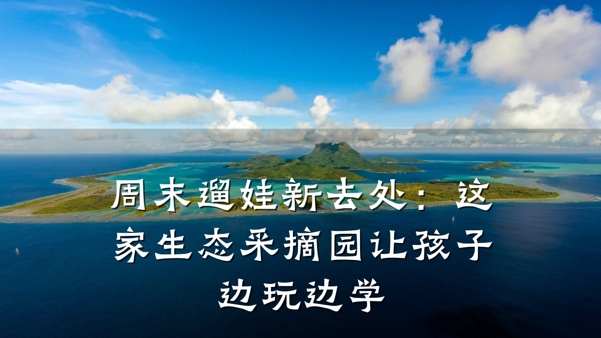 周末遛娃新去处：这家生态采摘园让孩子边玩边学