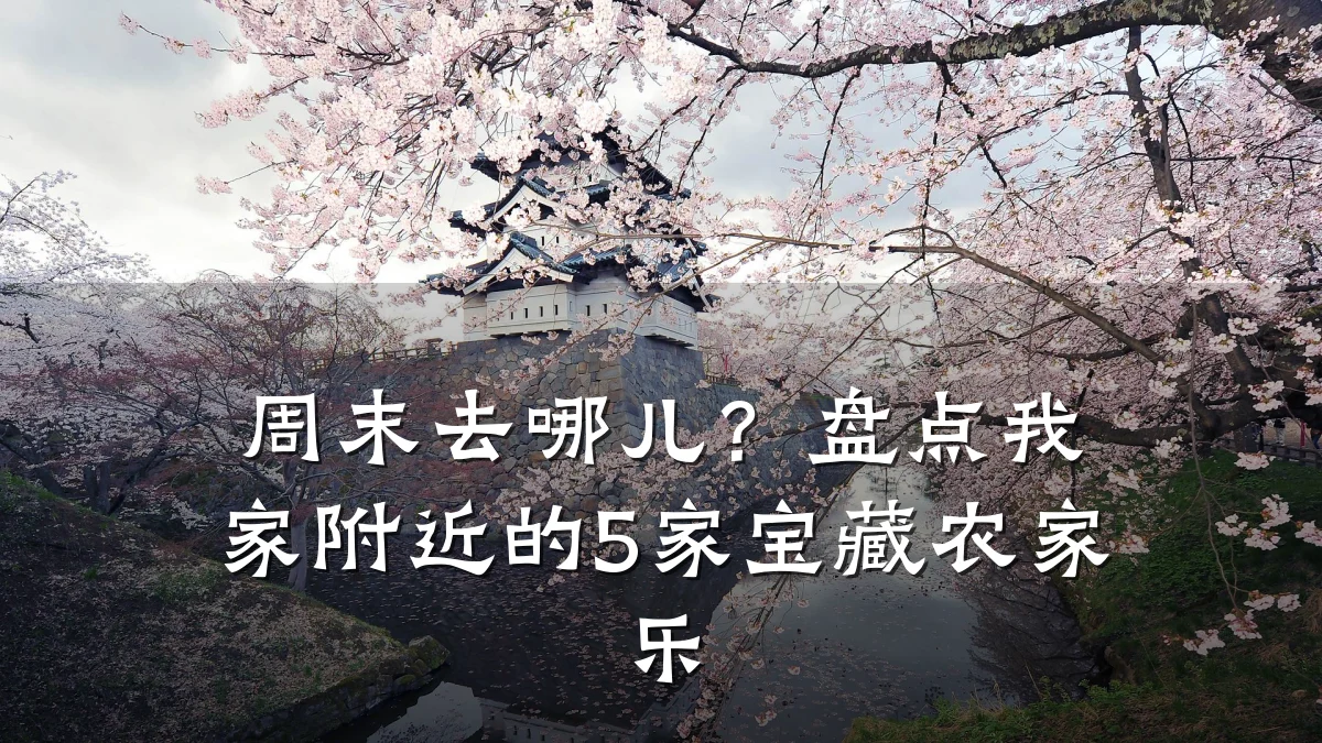 周末去哪儿?盘点我家附近的5家宝藏农家乐