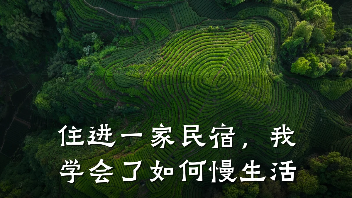 住进一家民宿,我学会了如何慢生活