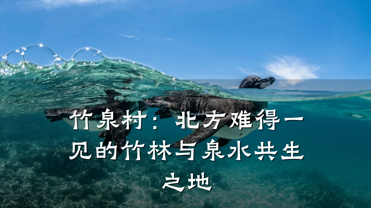 竹泉村:北方难得一见的竹林与泉水共生之地