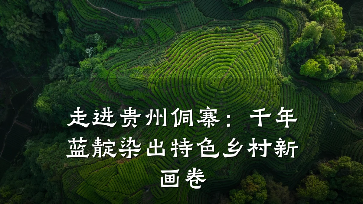走进贵州侗寨:千年蓝靛染出特色乡村新画卷