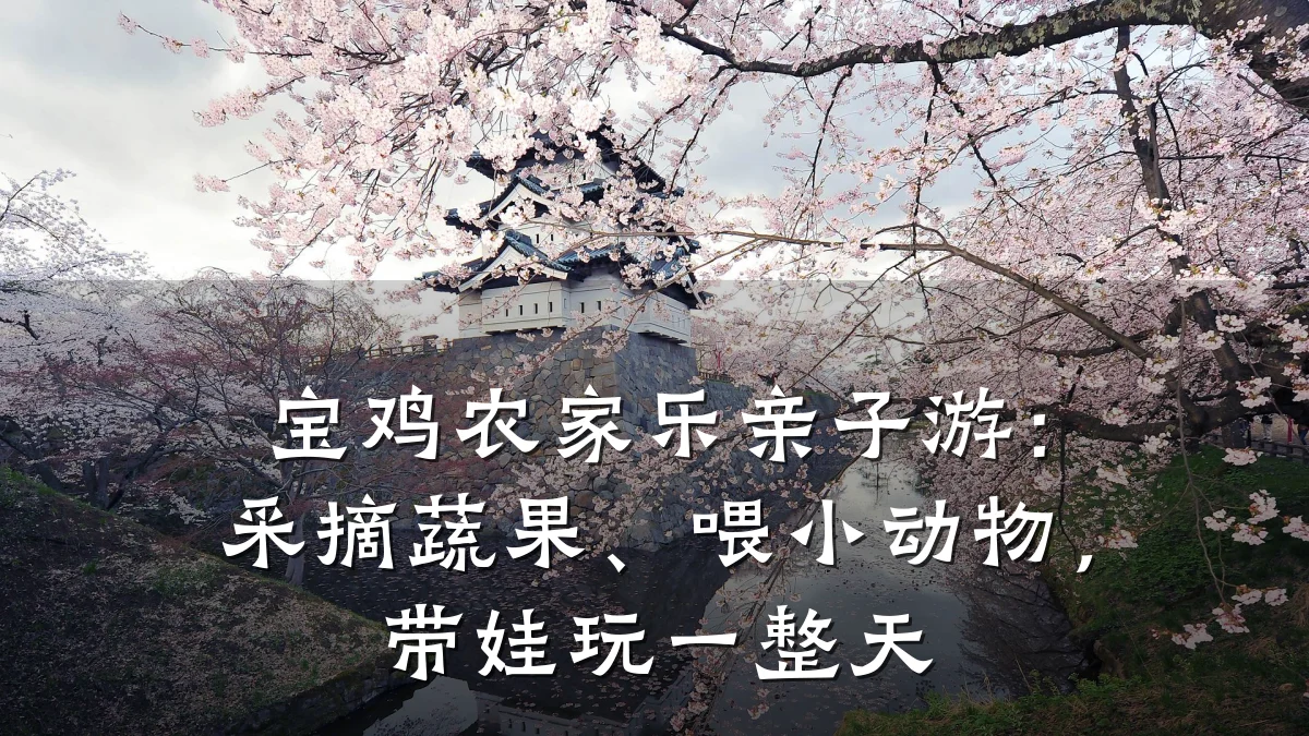 宝鸡农家乐亲子游:采摘蔬果、喂小动物,带娃玩一整天