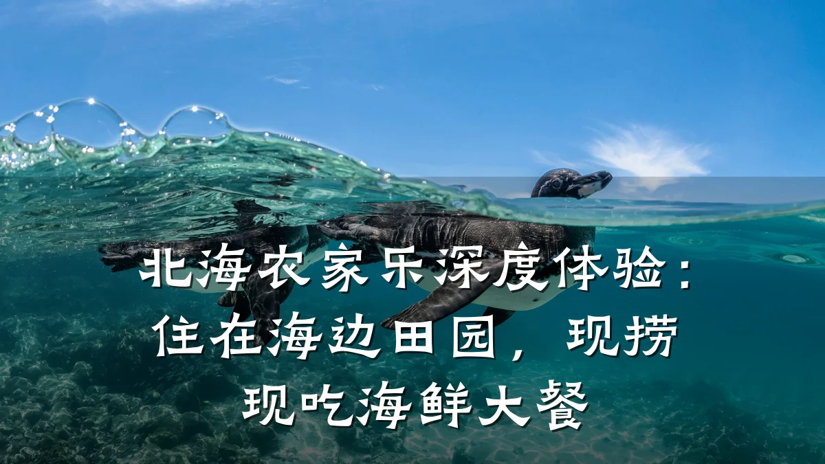 北海农家乐深度体验:住在海边田园,现捞现吃海鲜大餐