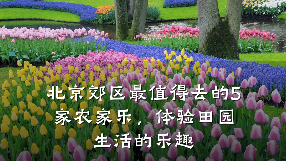 北京郊区最值得去的5家农家乐,体验田园生活的乐趣