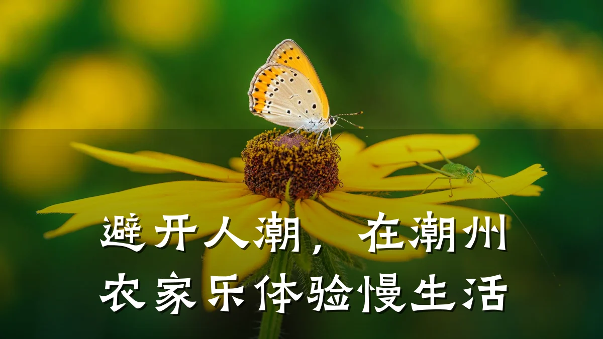 避开人潮,在潮州农家乐体验慢生活