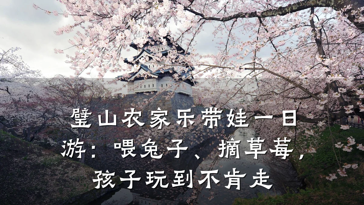璧山农家乐带娃一日游:喂兔子、摘草莓,孩子玩到不肯走