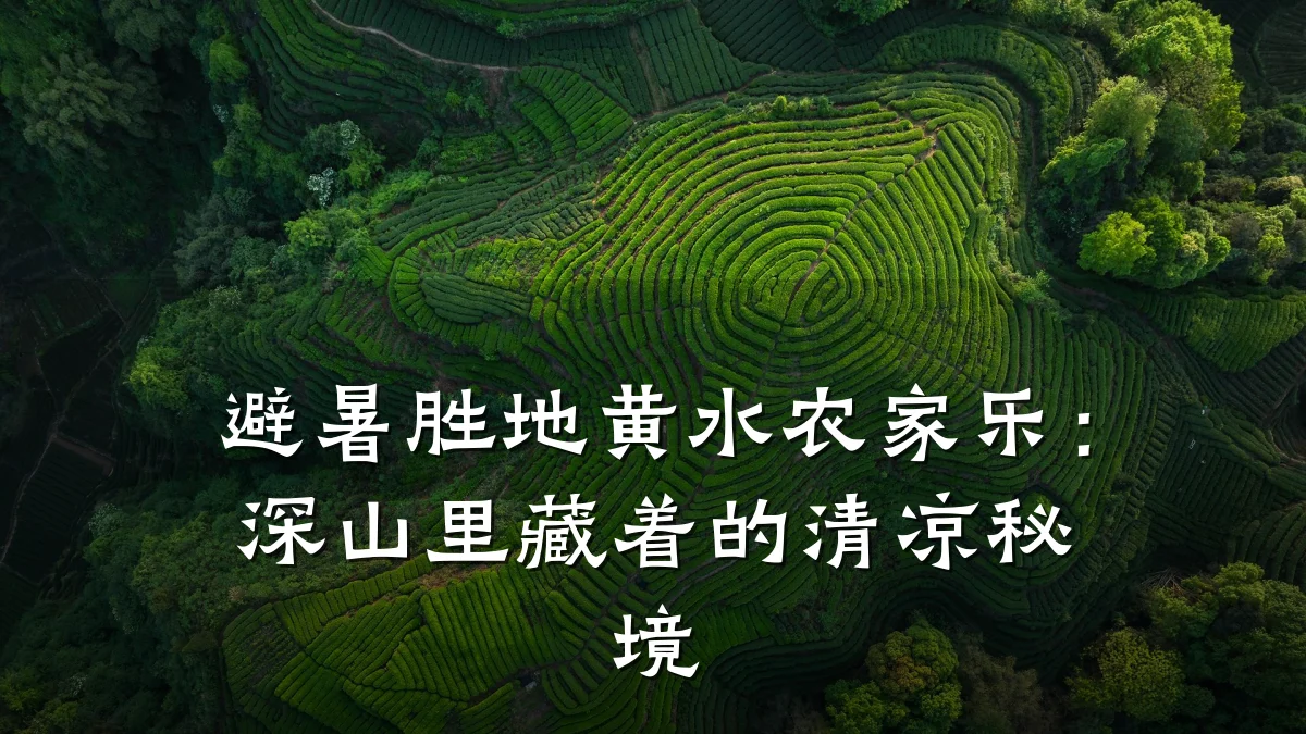 避暑胜地黄水农家乐：深山里藏着的清凉秘境