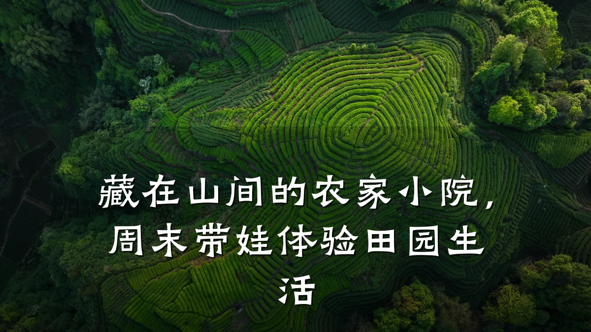 藏在山间的农家小院，周末带娃体验田园生活