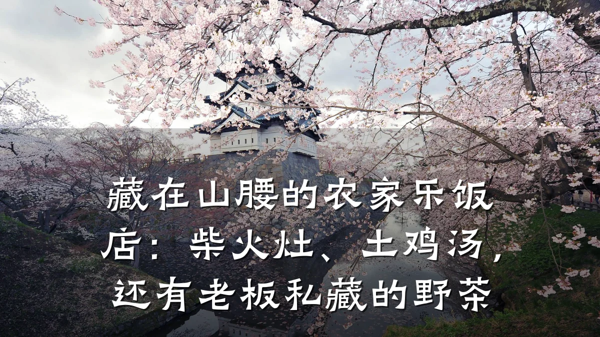 藏在山腰的农家乐饭店：柴火灶、土鸡汤，还有老板私藏的野茶