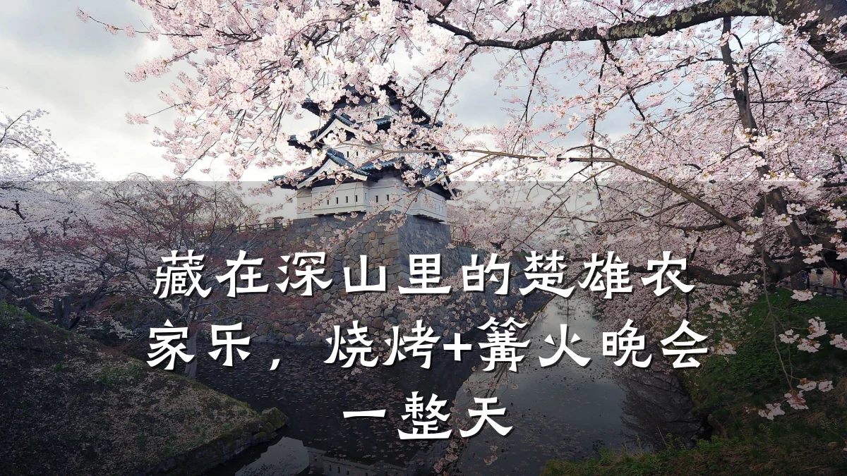 藏在深山里的楚雄农家乐,烧烤+篝火晚会一整天