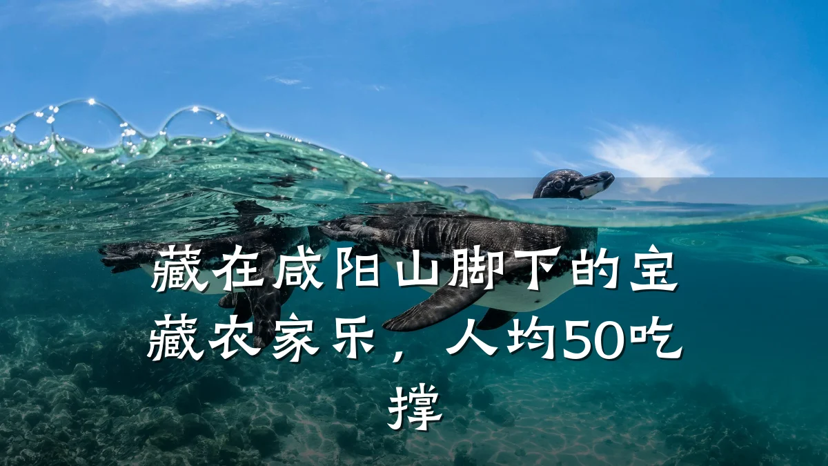 藏在咸阳山脚下的宝藏农家乐,人均50吃撑
