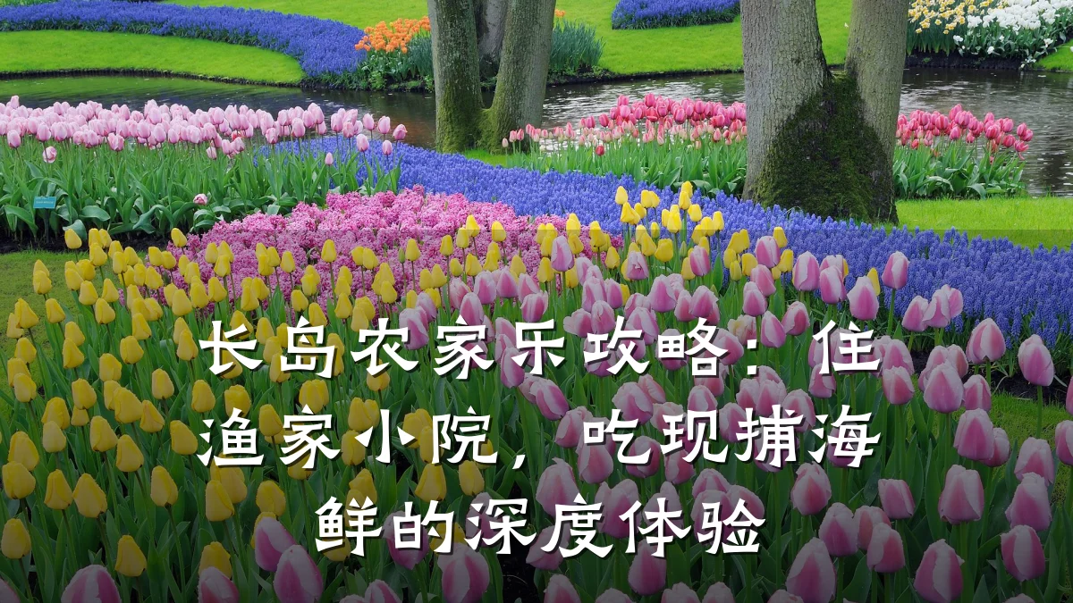 长岛农家乐攻略:住渔家小院,吃现捕海鲜的深度体验