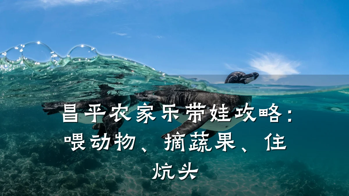 昌平农家乐带娃攻略:喂动物、摘蔬果、住炕头
