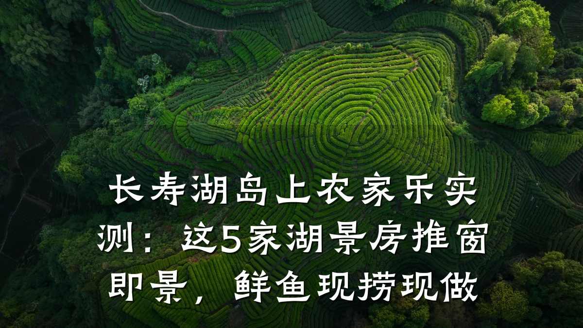 长寿湖岛上农家乐实测:这5家湖景房推窗即景,鲜鱼现捞现做
