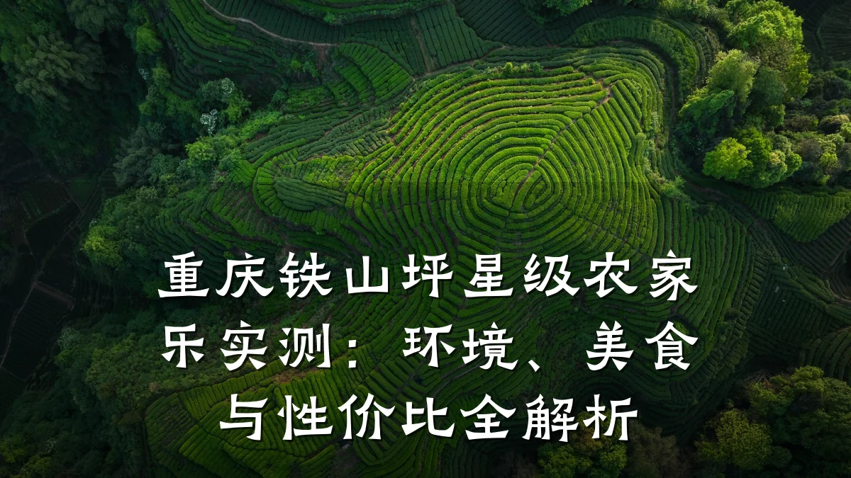 重庆铁山坪星级农家乐实测:环境、美食与性价比全解析
