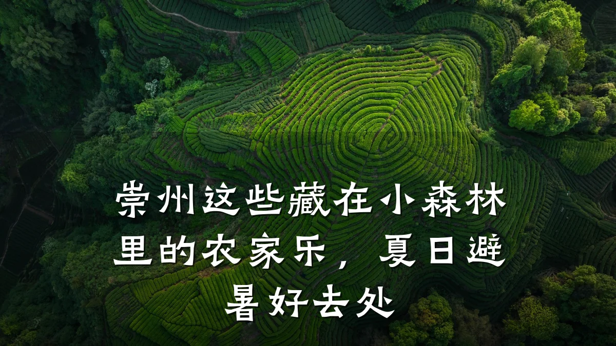 崇州这些藏在小森林里的农家乐，夏日避暑好去处