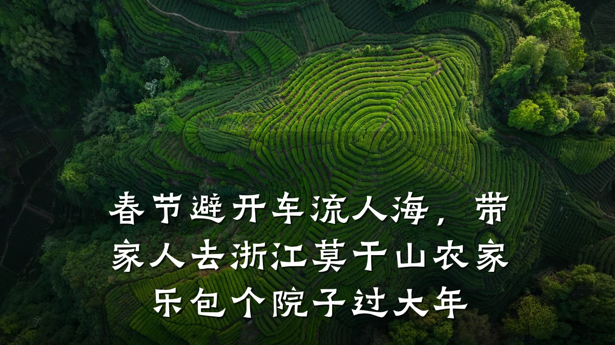 春节避开车流人海,带家人去浙江莫干山农家乐包个院子过大年