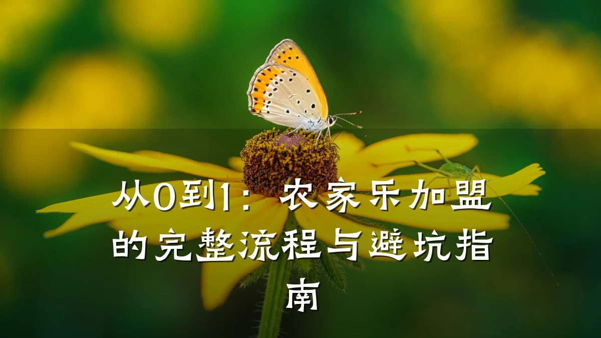 从0到1：农家乐加盟的完整流程与避坑指南