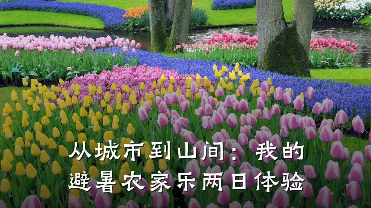 从城市到山间:我的避暑农家乐两日体验