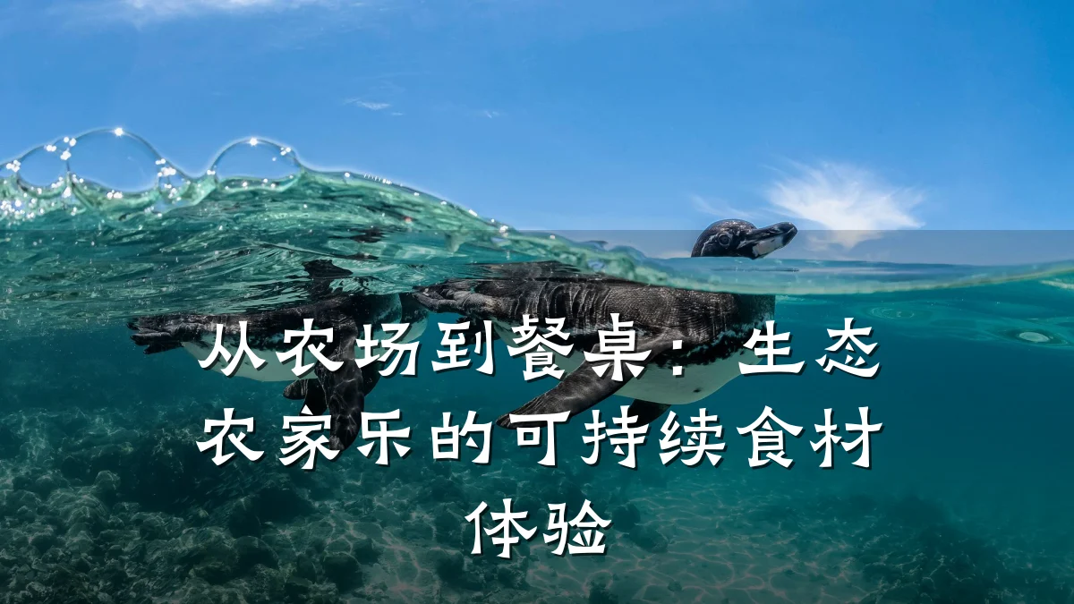 从农场到餐桌:生态农家乐的可持续食材体验