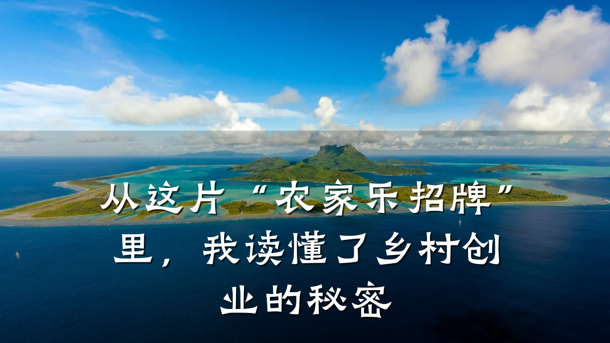 从这片“农家乐招牌”里,我读懂了乡村创业的秘密