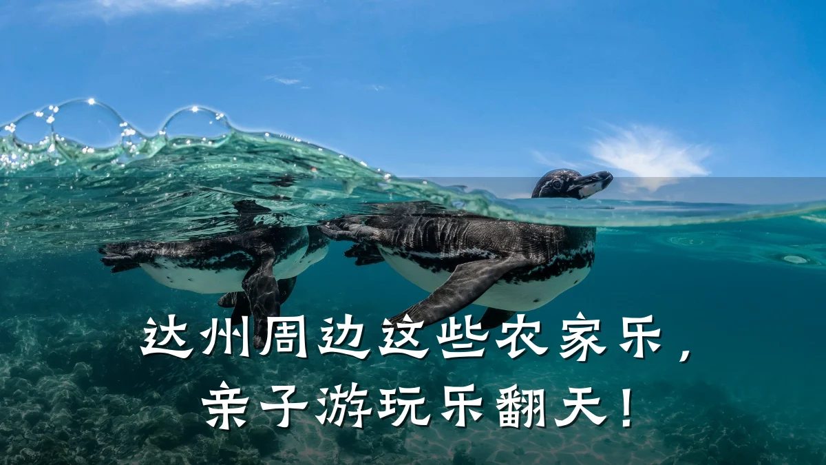 达州周边这些农家乐,亲子游玩乐翻天!