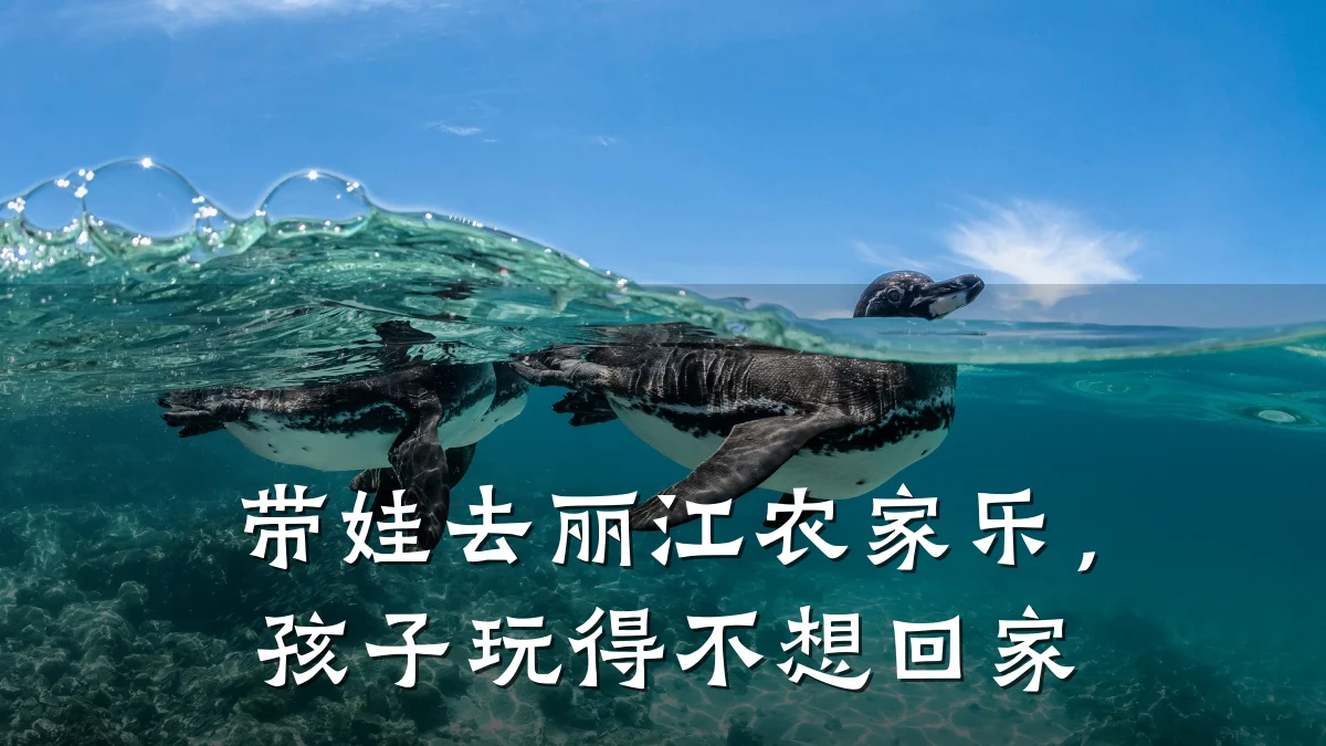 带娃去丽江农家乐,孩子玩得不想回家
