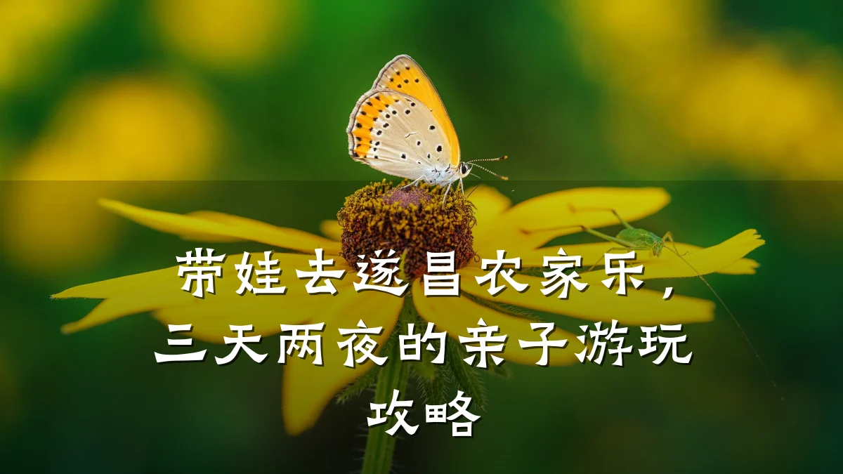 带娃去遂昌农家乐,三天两夜的亲子游玩攻略