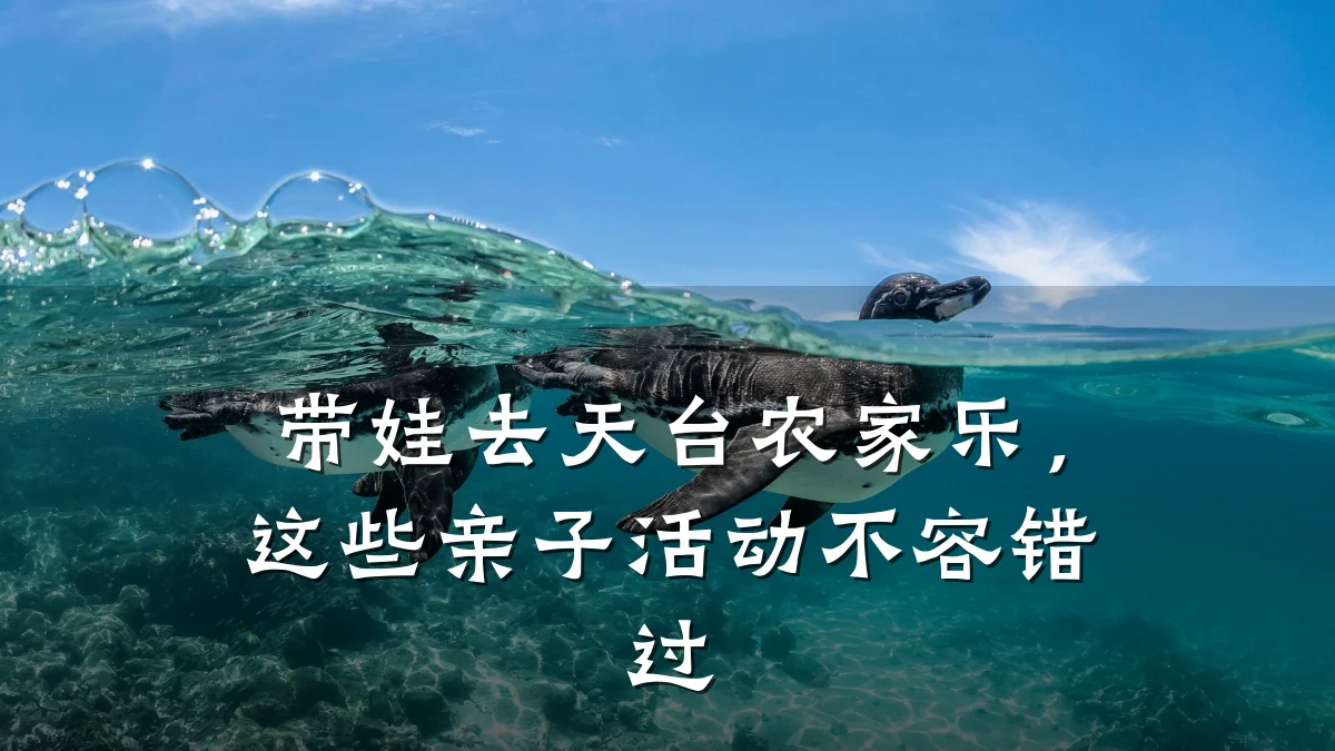 带娃去天台农家乐，这些亲子活动不容错过