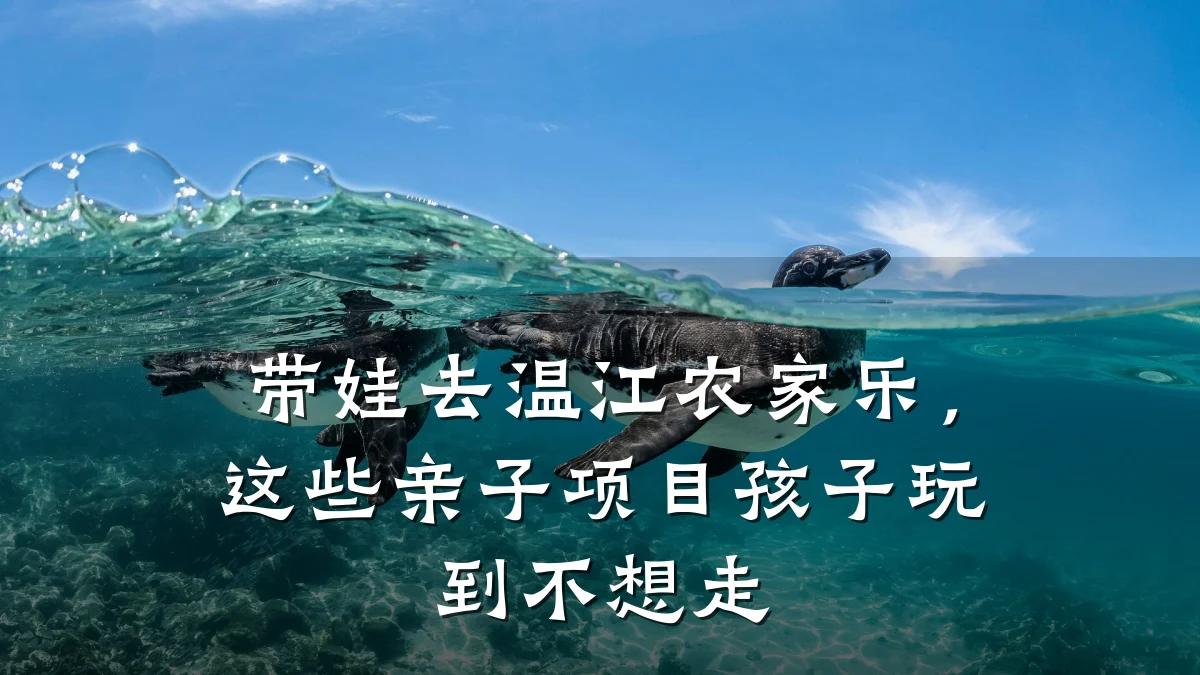 带娃去温江农家乐,这些亲子项目孩子玩到不想走