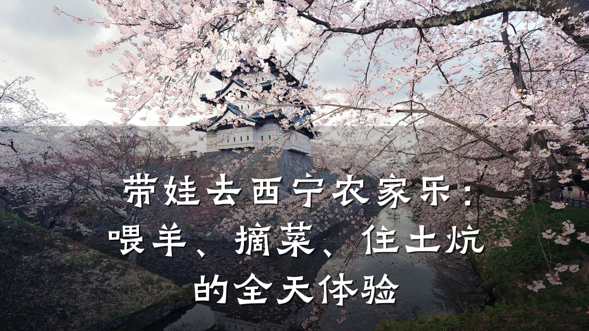 带娃去西宁农家乐:喂羊、摘菜、住土炕的全天体验