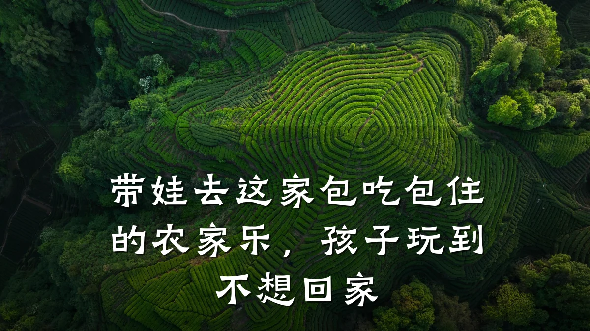 带娃去这家包吃包住的农家乐,孩子玩到不想回家