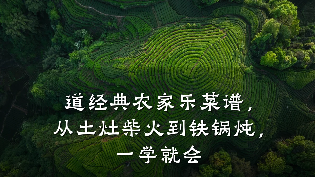 道经典农家乐菜谱，从土灶柴火到铁锅炖，一学就会