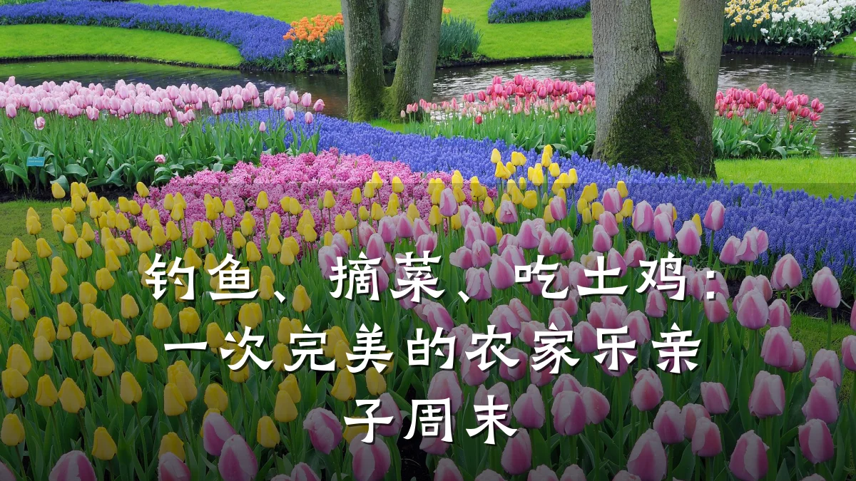 钓鱼、摘菜、吃土鸡:一次完美的农家乐亲子周末