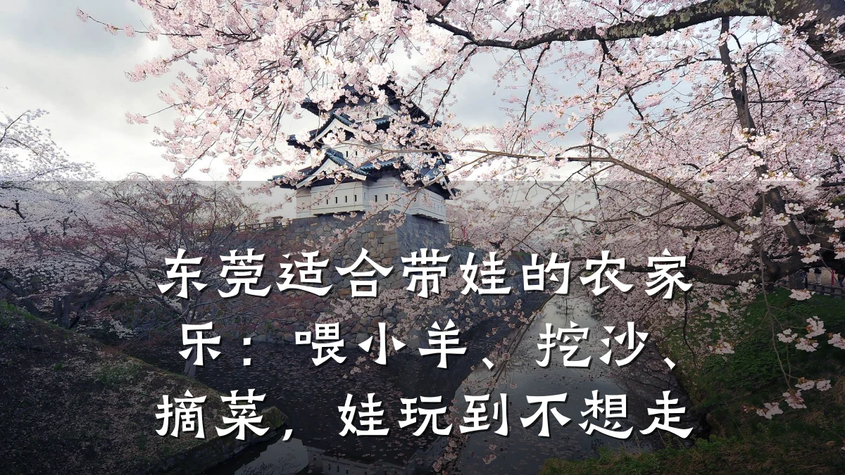 东莞适合带娃的农家乐:喂小羊、挖沙、摘菜,娃玩到不想走