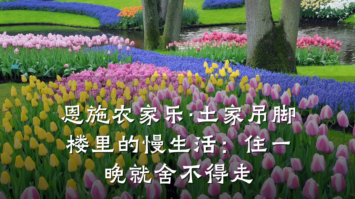 恩施农家乐·土家吊脚楼里的慢生活：住一晚就舍不得走