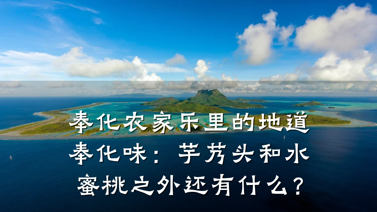奉化农家乐里的地道奉化味:芋艿头和水蜜桃之外还有什么?