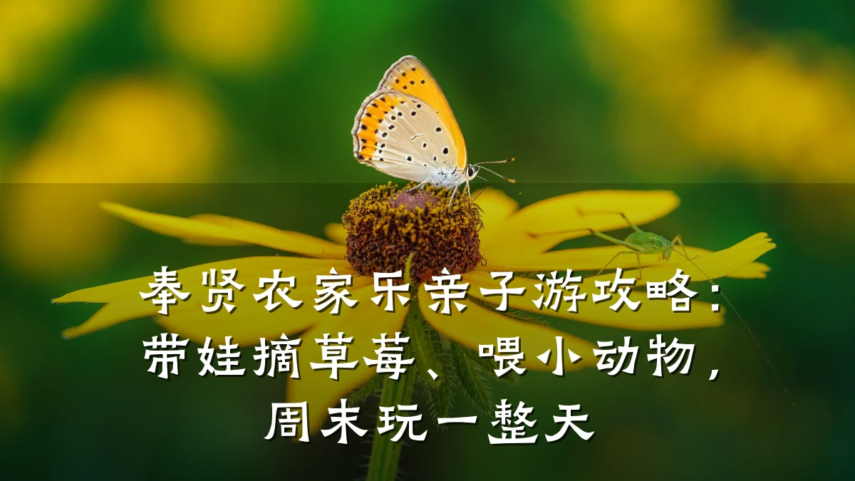 奉贤农家乐亲子游攻略:带娃摘草莓、喂小动物,周末玩一整天