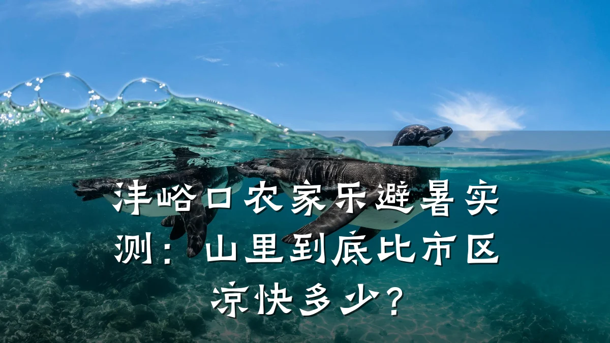 沣峪口农家乐避暑实测:山里到底比市区凉快多少?
