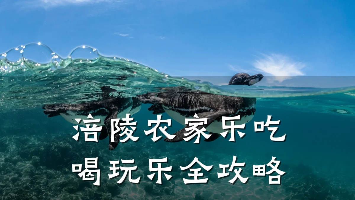 涪陵农家乐吃喝玩乐全攻略