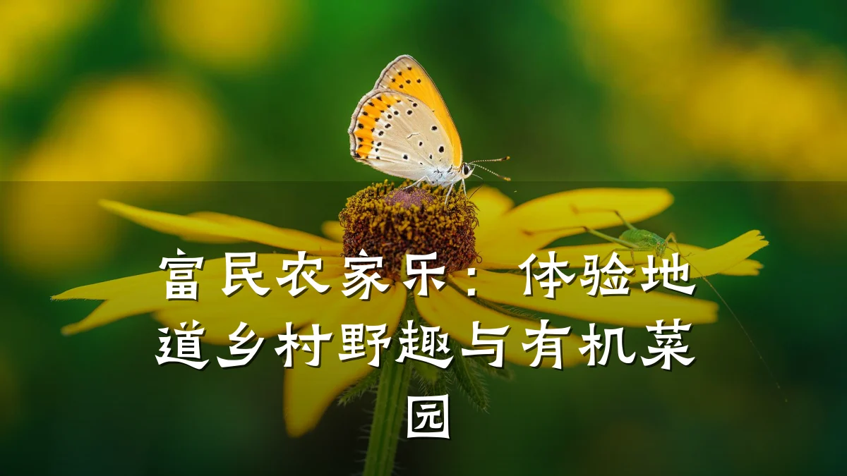 富民农家乐:体验地道乡村野趣与有机菜园