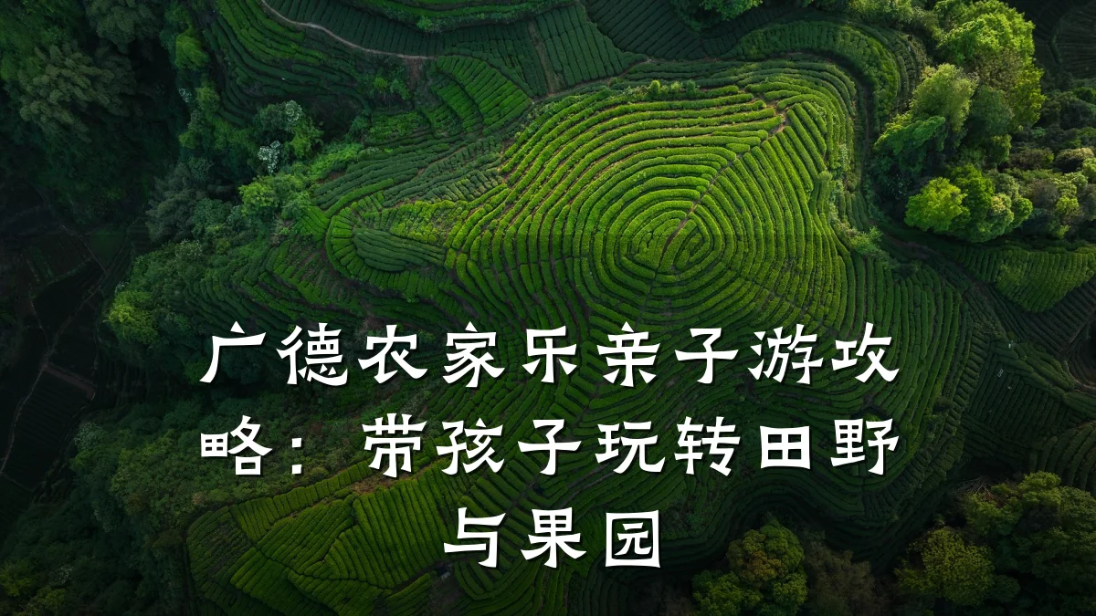 广德农家乐亲子游攻略：带孩子玩转田野与果园