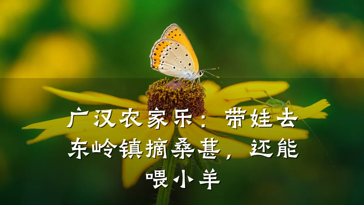 广汉农家乐:带娃去东岭镇摘桑葚,还能喂小羊