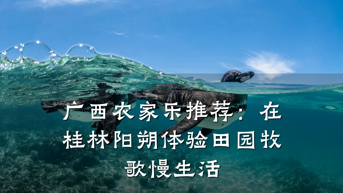 广西农家乐推荐:在桂林阳朔体验田园牧歌慢生活