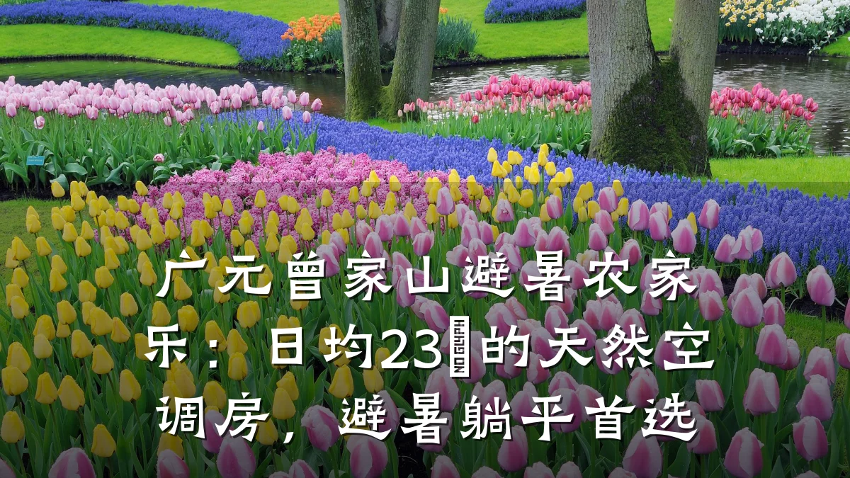 广元曾家山避暑农家乐:日均23℃的天然空调房,避暑躺平首选